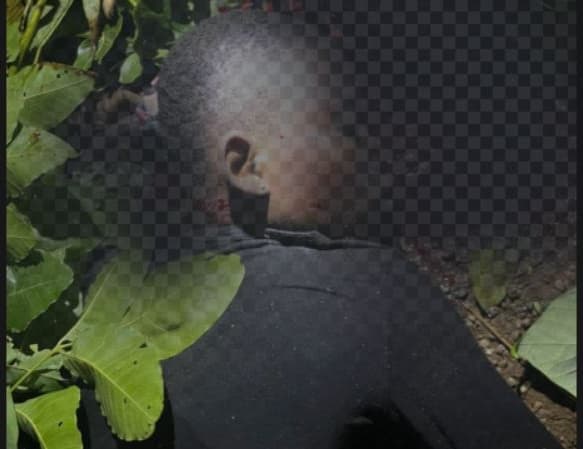 Blog Image
